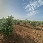 Podere Carafa Lantgård *