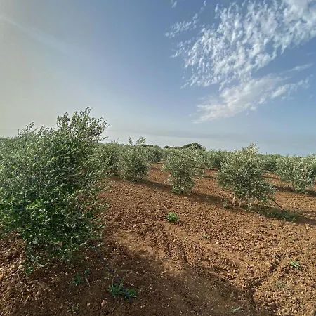 Podere Carafa Κατάλυμα σε φάρμα *